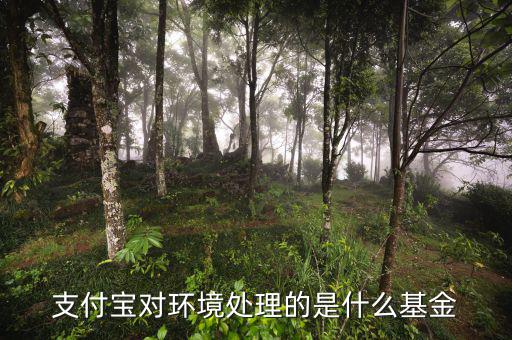 支付寶中的基金是什么，支付寶對(duì)環(huán)境處理的是什么基金