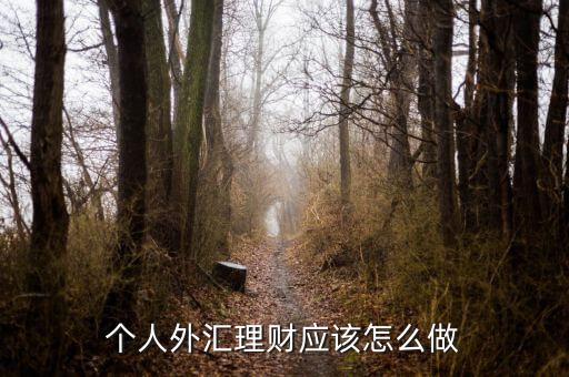 個人外匯理財(cái)應(yīng)該怎么做