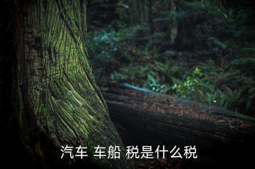 汽車車船稅是怎么樣,車船稅是對車輛、船舶征收的稅