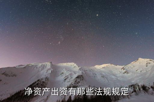 凈資產(chǎn)出資什么意思，股權(quán)比例所對應的凈資產(chǎn)份額是什么意思