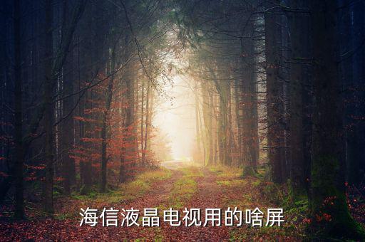 海信電視都是用什么屏，海信液晶電視都是用的什么屏