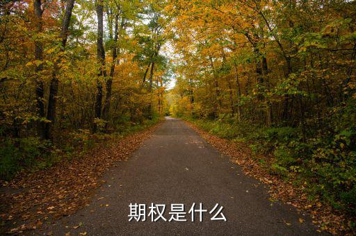 股票期權(quán)是什么，期權(quán)和股權(quán)有什么本質(zhì)區(qū)別嗎