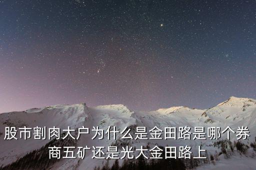 為什么益田路總割肉，股市割肉大戶為什么是金田路是哪個券商五礦還是光大金田路上