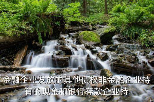 非金融債權(quán)是什么意思，非金融領(lǐng)域債務(wù)是什么意思
