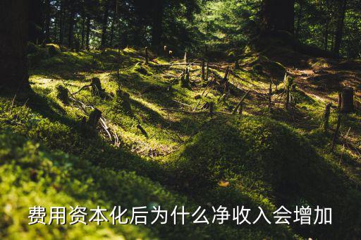 為什么資本化會(huì)使roa增加，法定存款準(zhǔn)備金率的提高對ROA的影響謝謝啦