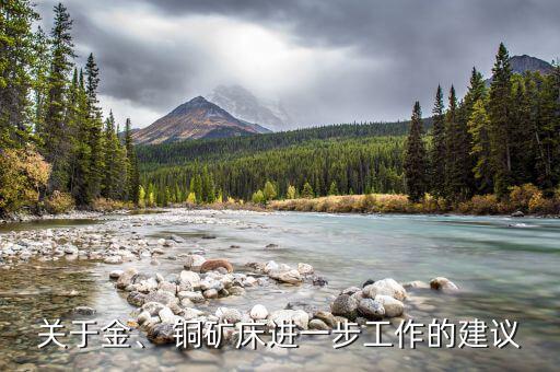 關(guān)于金、 銅礦床進一步工作的建議