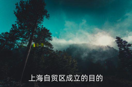 為什么建立上海自貿(mào)區(qū)，上海自貿(mào)區(qū)成立的目的