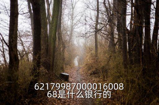 中債資信屬于什么銀行，6217998700001600868是什么銀行的