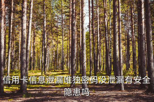 信用卡信息泄露有什么風(fēng)險(xiǎn)，信用卡信息泄漏唯獨(dú)密碼沒(méi)泄漏有安全隱患嗎