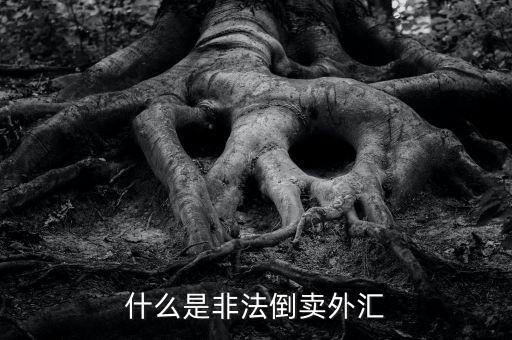 為什么會非法買賣外匯，私下交易外幣為什么是違法行為