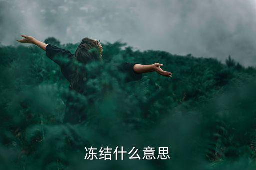 閃電貸凍結(jié)是什么意思，閃電借款什么叫凍結(jié)百分之80的額度意思是信用卡里面額度要多少錢