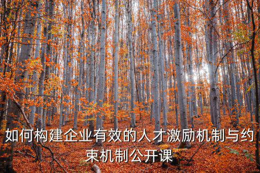 財務(wù)激勵與約束機制的設(shè)計原則是什么，財務(wù)激勵約束機制的概念是什么