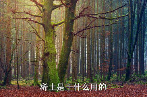 為什么稀土，日本為什么要進(jìn)口稀土 稀土是什么