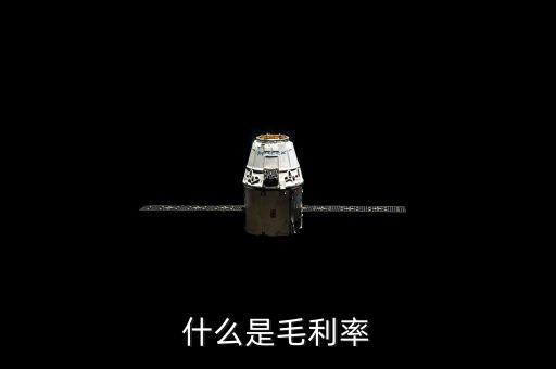 毛利率是什么，毛利率是什么意思