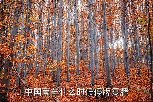 中國南車什么情況，中國南車跌停預(yù)示著大盤明天有什么狀況