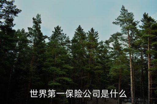 世界上第一家保險公司叫什么，世界第一保險公司是什么
