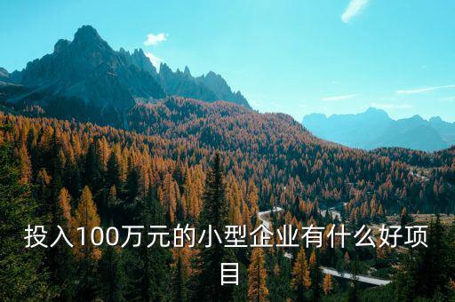 什么企業(yè)愛(ài)投資項(xiàng)目，投入100萬(wàn)元的小型企業(yè)有什么好項(xiàng)目