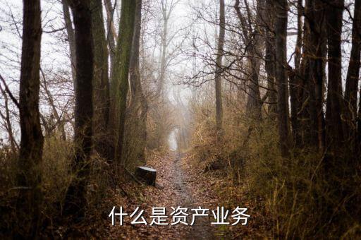 什么是大資產(chǎn)業(yè)務，商業(yè)銀行三大支柱業(yè)務是什么