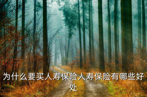 為什么買人壽，生意人為什么要買人壽保險