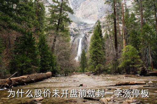 還沒開盤就漲停就什么，早上6000831沒到開盤就漲停什么意義