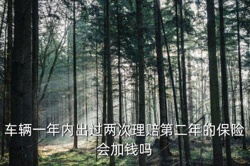 一年中兩次事故理培有什么影響，車輛一年內(nèi)出過兩次理賠第二年的保險(xiǎn)會(huì)加錢嗎