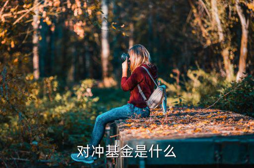 對沖基金是什么意思，什么是對沖基金對沖基金指的是什么