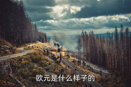 500面值似的歐元是什么樣的，500歐元是什么樣子的價(jià)值人民幣是多少大神們幫幫忙