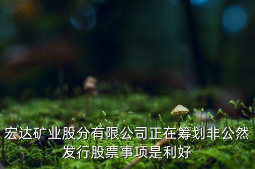 宏達(dá)礦業(yè)什么重大事項(xiàng)，請(qǐng)教600687停盤說是因?yàn)楹藢?shí)公司相關(guān)重大事項(xiàng)這個(gè)重大事項(xiàng)有知
