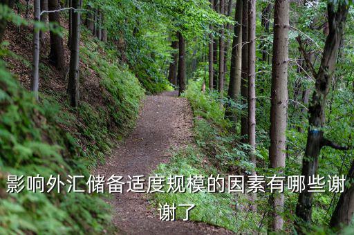 什么樣的外匯儲(chǔ)備規(guī)模是合理的，我國的外匯儲(chǔ)備規(guī)模是否合理