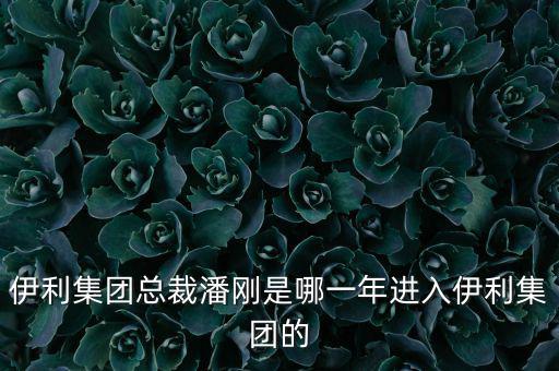 潘剛什么背景，潘剛是哪里人啊
