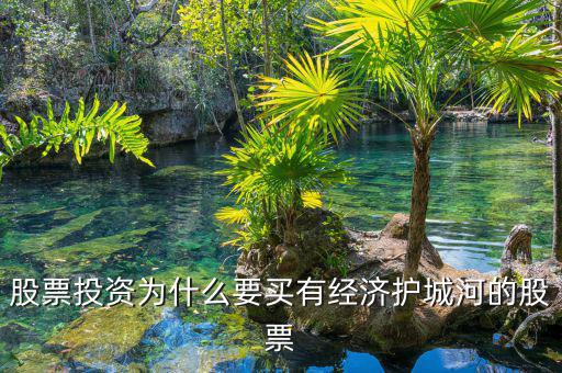 什么是股票投資的護城河理論，從基本面看證券投資的護城河是指哪幾類情況