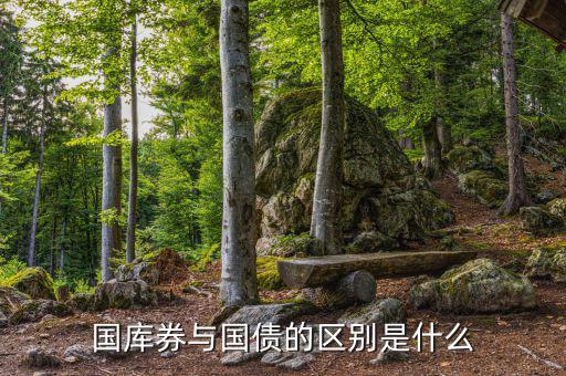 國(guó)庫(kù)券與國(guó)債的區(qū)別是什么，國(guó)庫(kù)券與國(guó)債的區(qū)別是什么