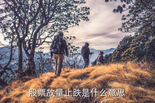 放量跌停說明什么，量比暴漲股票跌停說明什么