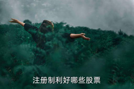 什么股票注冊制，IPO注冊制是什么意思