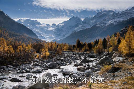 為什么我不能賣新股，為什么我的股票不能賣