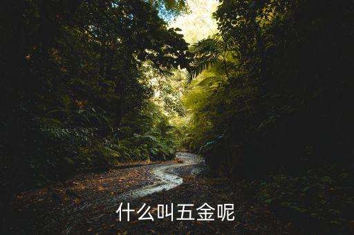 什么叫一市五金多套餐，知不知道招聘里說的 五金齊全是指什么