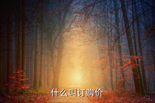什么叫償二代，什么叫猹