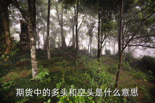 離岸空頭是什么，期貨中的多頭和空頭是什么意思