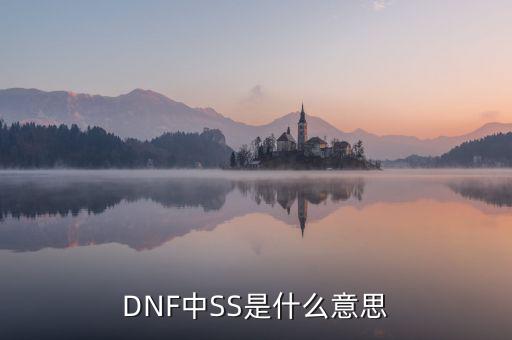 ngbss是什么，DNF武器cc和ss是指什么請詳細解釋