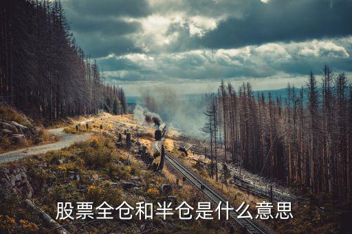 股票全倉是什么意思，股票全倉和半倉是什么意思