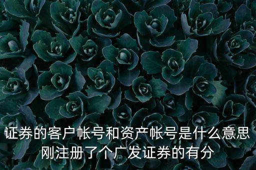 申萬(wàn)宏源資產(chǎn)賬號(hào)是什么，我知道瀘A股東的賬號(hào)怎么查資金賬號(hào)申萬(wàn)宏源