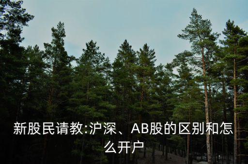 新股民請教:滬深、AB股的區(qū)別和怎么開戶