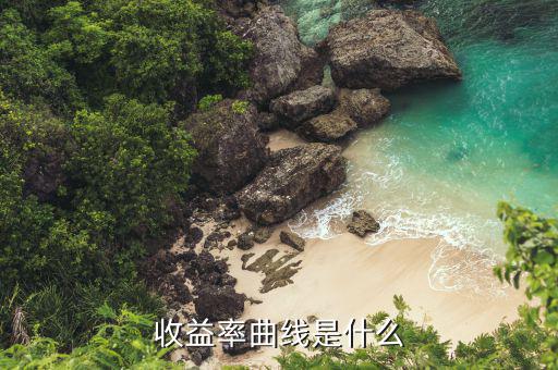 收益曲線是什么的利率曲線，收益率曲線是甚么