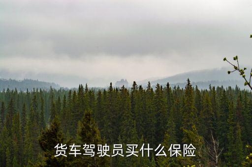 貨車司機(jī)買什么保險(xiǎn)好，大貨車買什么保險(xiǎn)最好