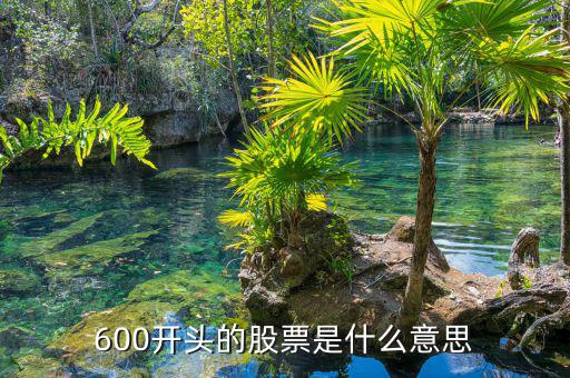 600股票什么意思，股票600601000002300分別是什么意思