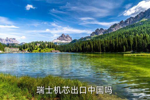 瑞士以什么出口為主，瑞士主要運(yùn)輸方式是什么