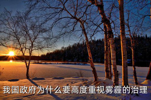 為什么要主動(dòng)出擊治理霧霾，國(guó)家為何花大力氣整治霧霾天氣