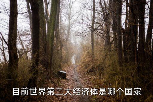 中國什么時(shí)候成為第二大經(jīng)濟(jì)體，中國成為世界第二大經(jīng)濟(jì)體是什么時(shí)候