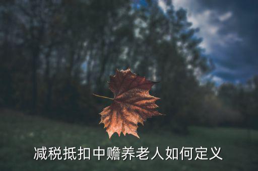 什么是減稅養(yǎng)老，減稅抵扣中贍養(yǎng)老人如何定義