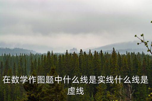 在數學作圖題中什么線是實線什么線是虛線